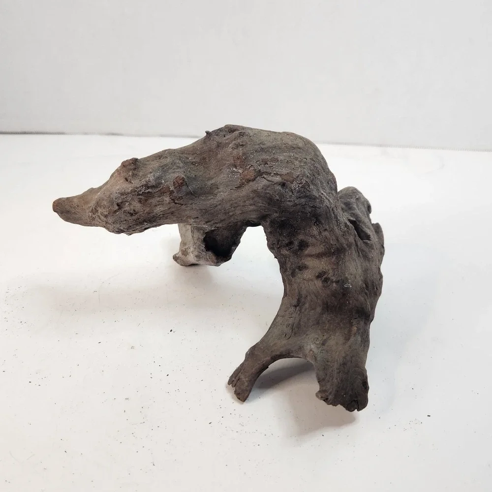 Natural driftwood for aquarium/terrarium/arts and crafts/Taxidermy Burl Habitat